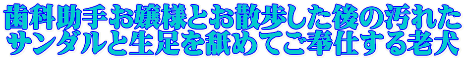 ȏ肨lƂỦꂽ T_Ɛr߂ĂdV